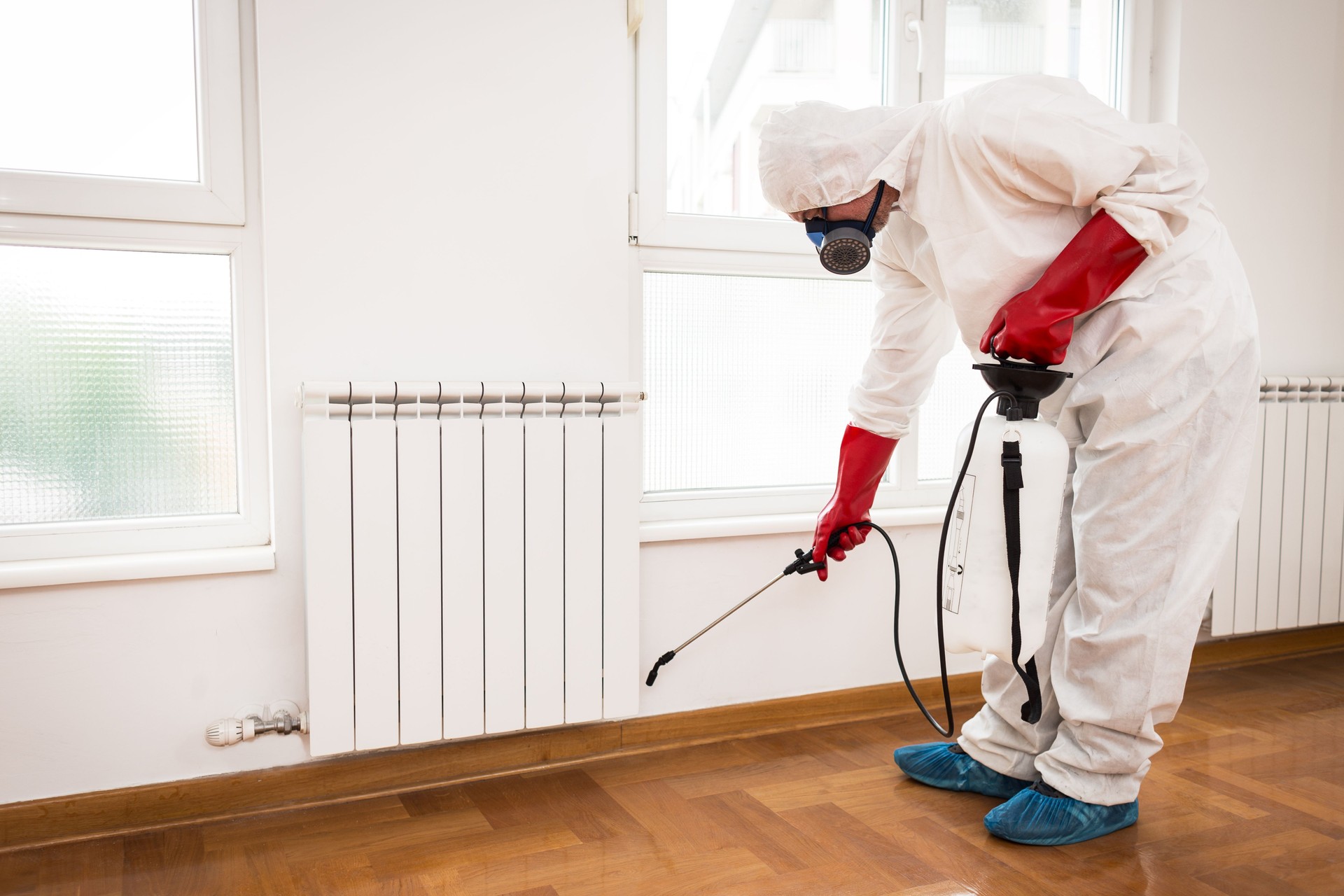 Exterminator in work
