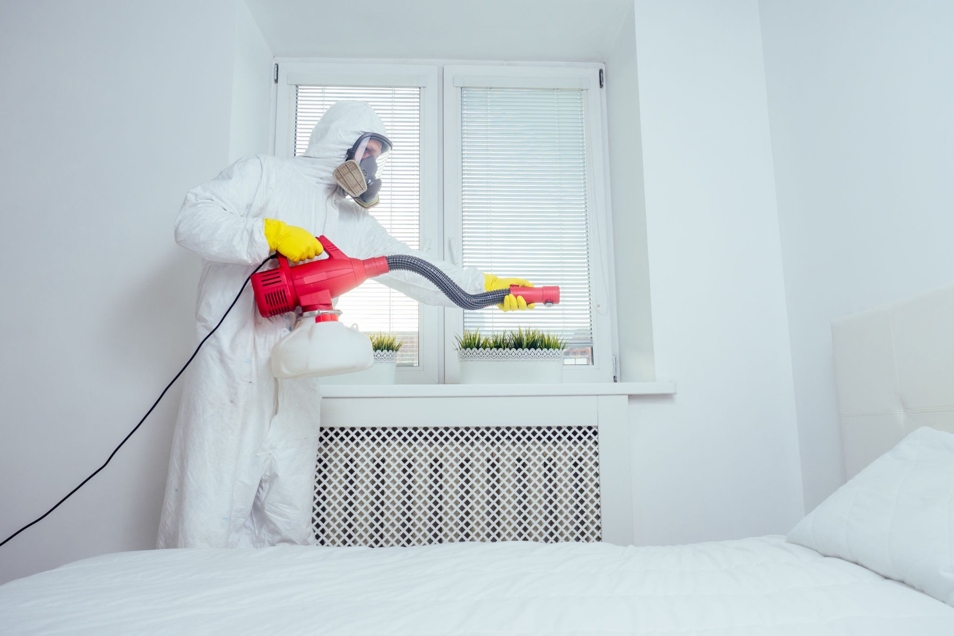 pest control worker lying on floor and spraying pesticides in bedroom